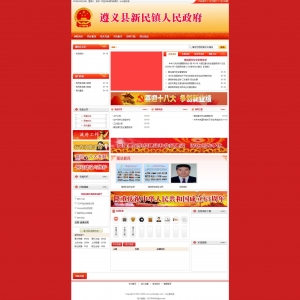 zs83红色系政府网站展示 - 云冰蓝科技